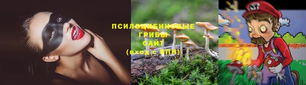 PSILOCYBIN Беломорск